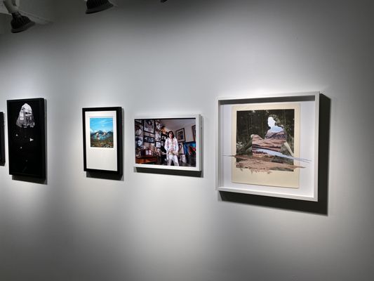 Contemporary Calgary by null