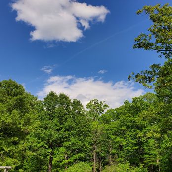 Joseph Bryan Park - Blue sky - Parks Near Me - Richmond, Virginia Joseph Bryan Park - Blue sky - Parks Near Me - Richmond, Virginia
