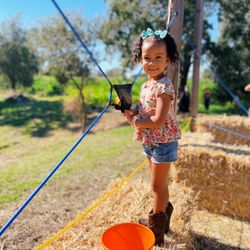 Little Field Farms - Pumpkin launcher
