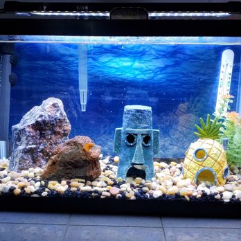 Petco - Pet Stores Near Me - La Canada, California Petco - Pet Stores Near Me - La Canada, California
