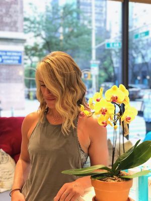 Lovella Salon by null