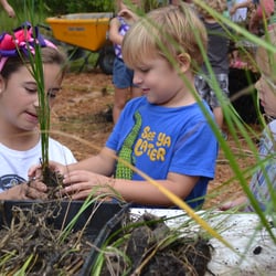 Admiral Farragut Academy - Every year the entire school participates in Bay Grasses in Classes to grow and transplant salt marsh for the Tampa Bay area.