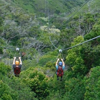 Kapalua Ziplines - View from the longest line on the course. - Ziplining Near Me - Lahaina, Hawaii Kapalua Ziplines - View from the longest line on the course. - Ziplining Near Me - Lahaina, Hawaii