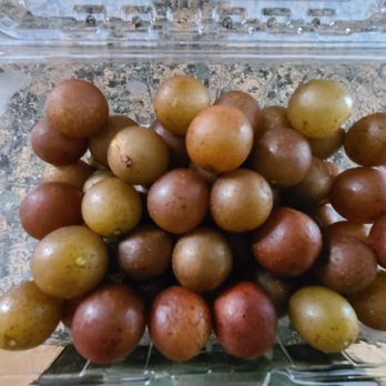 Breckenridge Farms - Muscadines - Farms Near Me - Shubuta, Mississippi Breckenridge Farms - Muscadines - Farms Near Me - Shubuta, Mississippi