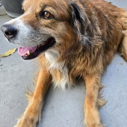 Here is my boy, smiling after his appointment! Here is my boy, smiling after his appointment!