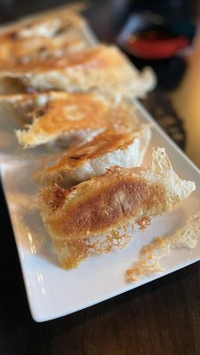 Tasty Dumplings by null