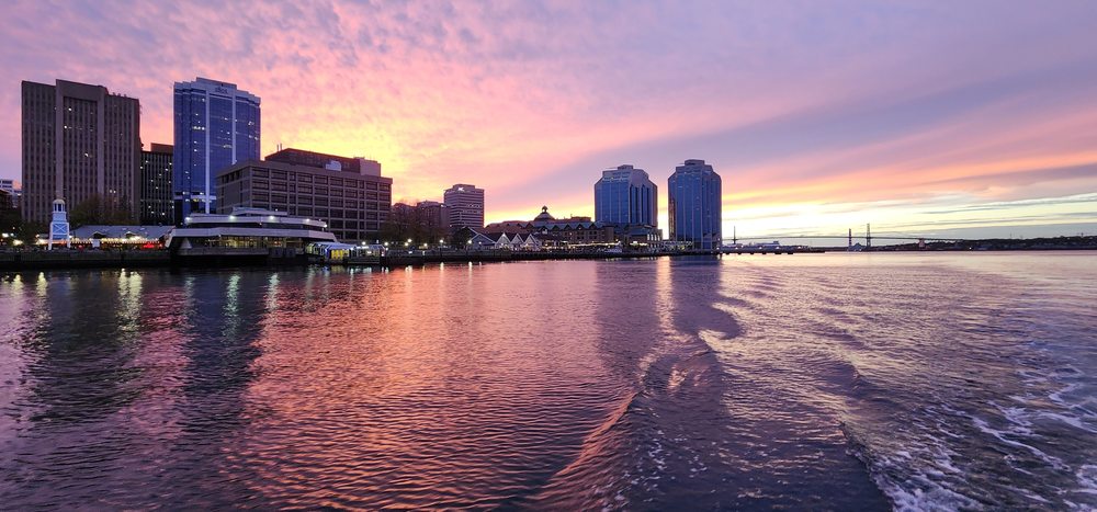 City Harbour Cruises