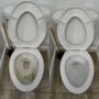Photo of Courteous Cleans