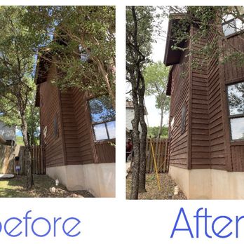 Silver Tree Care - Branches manicured, no more hitting on windows. - Tree Services Near Me Silver Tree Care - Branches manicured, no more hitting on windows. - Tree Services Near Me