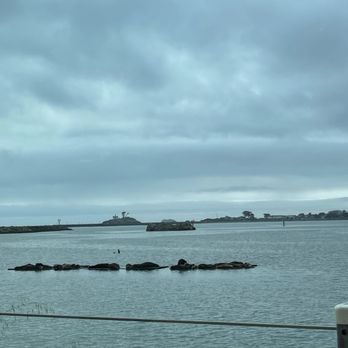 Chart Room Restaurant - View of Sea lions! @ Chartroom. - Seafood Near Me - Crescent City, California Chart Room Restaurant - View of Sea lions! @ Chartroom. - Seafood Near Me - Crescent City, California