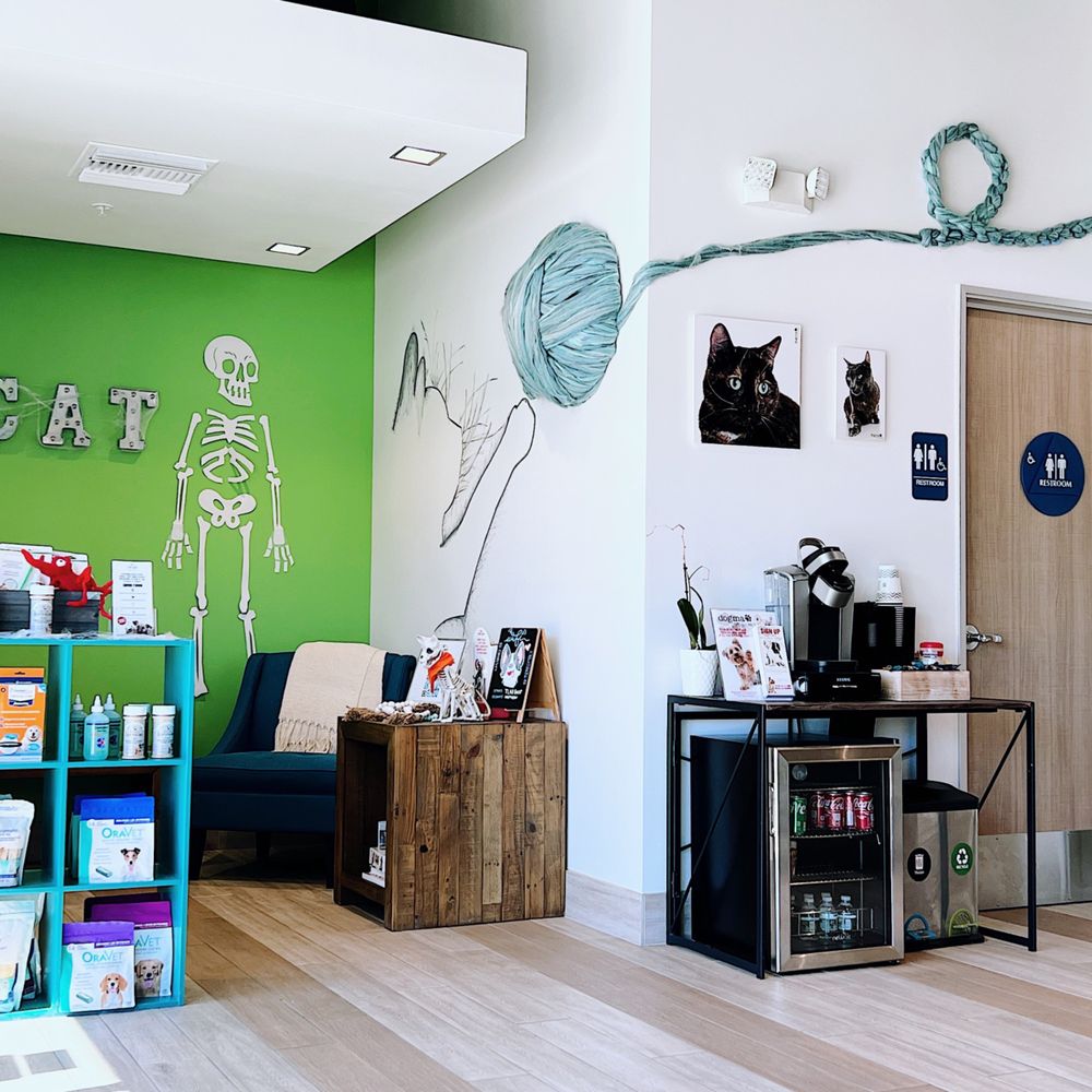 THE BEST 10 Bulldog Vet in Irvine, CA - Quality & Affordability - Updated  2026 - Yelp