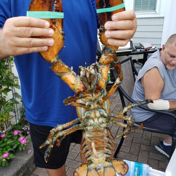City Fish Market - Our first time buying lobsters, clams, salmon steaks at City Fish Market, everything was delicious!! - Seafood Markets Near Me - Wethersfield, Connecticut City Fish Market - Our first time buying lobsters, clams, salmon steaks at City Fish Market, everything was delicious!! - Seafood Markets Near Me - Wethersfield, Connecticut