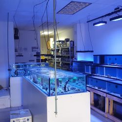 Coral Bite Aquarium