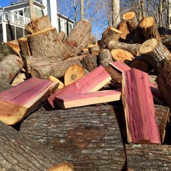 J B Tree Service