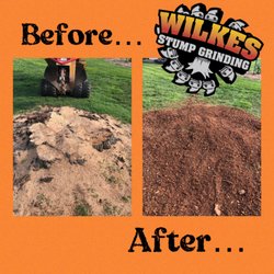 Wilkes Stump Grinding