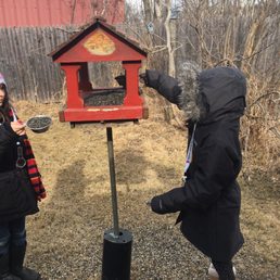 Feeding the birds on discovery day