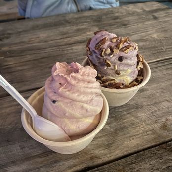 Zed’s - Blue berry ice cream - Ice Cream & Frozen Yogurt Near Me - Austin, Texas