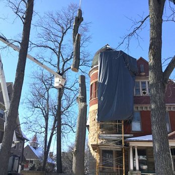 Sidonian Tree Service - Tree Services Near Me - Maumee, Ohio