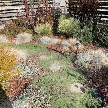 Jennifer Bromme - Landscape Architects or Designers Near Me