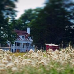 The Ross Farm