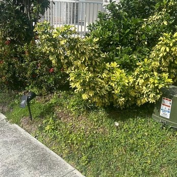 AngelGreen Outdoors - Lawn Services Near Me AngelGreen Outdoors - Lawn Services Near Me