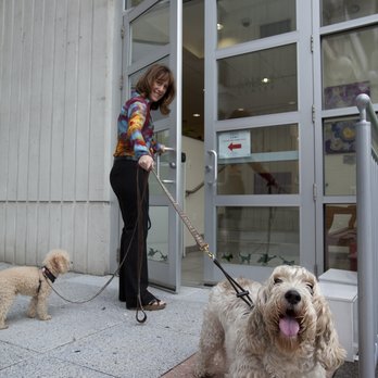 Gotham Veterinary Center - Veterinarians Near Me - New York, New York Gotham Veterinary Center - Veterinarians Near Me - New York, New York