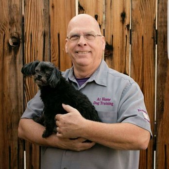 At Home Dog Training - This is Dennis, the dog trainer and Sadie. - Pet Training Near Me At Home Dog Training - This is Dennis, the dog trainer and Sadie. - Pet Training Near Me