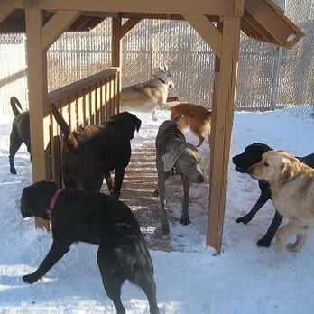 Camp Bow Wow - Pet Boarding Near Me - Dartmouth, Nova Scotia Camp Bow Wow - Pet Boarding Near Me - Dartmouth, Nova Scotia