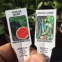 Photo of High Country Nursery