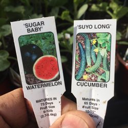 High Country Nursery - At Nusery 4/28/17