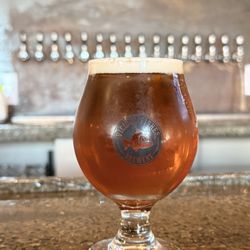 Vicious Fishes Brewery - Amber Lager