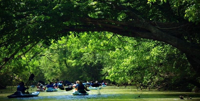 Big Will Outfitters Logo