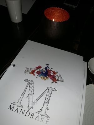 Mandrake Miami by null