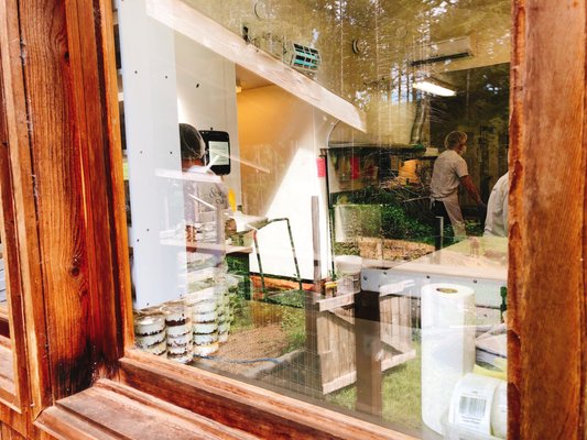 Salt Spring Island Cheese by null