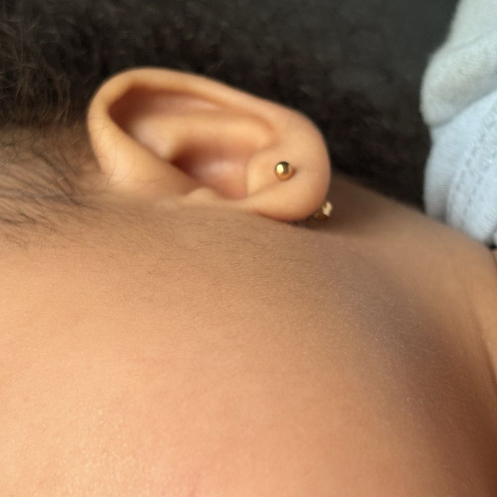 Precision Family Piercing - Close up of one of my daughter's piercings 3weeks out - Piercing Near Me - Ashland, Virginia Precision Family Piercing - Close up of one of my daughter's piercings 3weeks out - Piercing Near Me - Ashland, Virginia