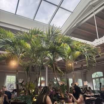 Kalaya - Interior - Thai Near Me - Philadelphia, Pennsylvania