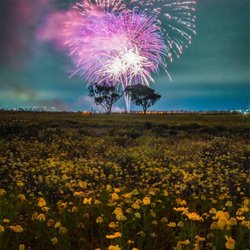 Fiesta Island Off Leash Dog Park - Late night u can enjoy firework from Seaworld