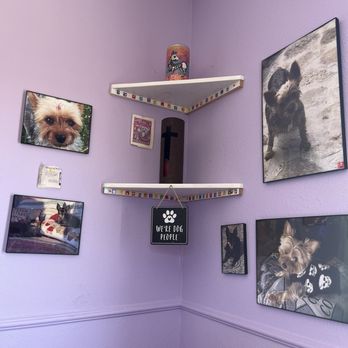 Desserted Island - Dog Room - Ice Cream & Frozen Yogurt Near Me - Corpus Christi, Texas