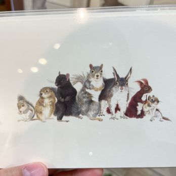 Bumble's Dry Goods - I love squirrels!! But this was close to $30! Too much for me. I couldn't justify buying it - Home Decor Near Me - Chelsea, Michigan Bumble's Dry Goods - I love squirrels!! But this was close to $30! Too much for me. I couldn't justify buying it - Home Decor Near Me - Chelsea, Michigan