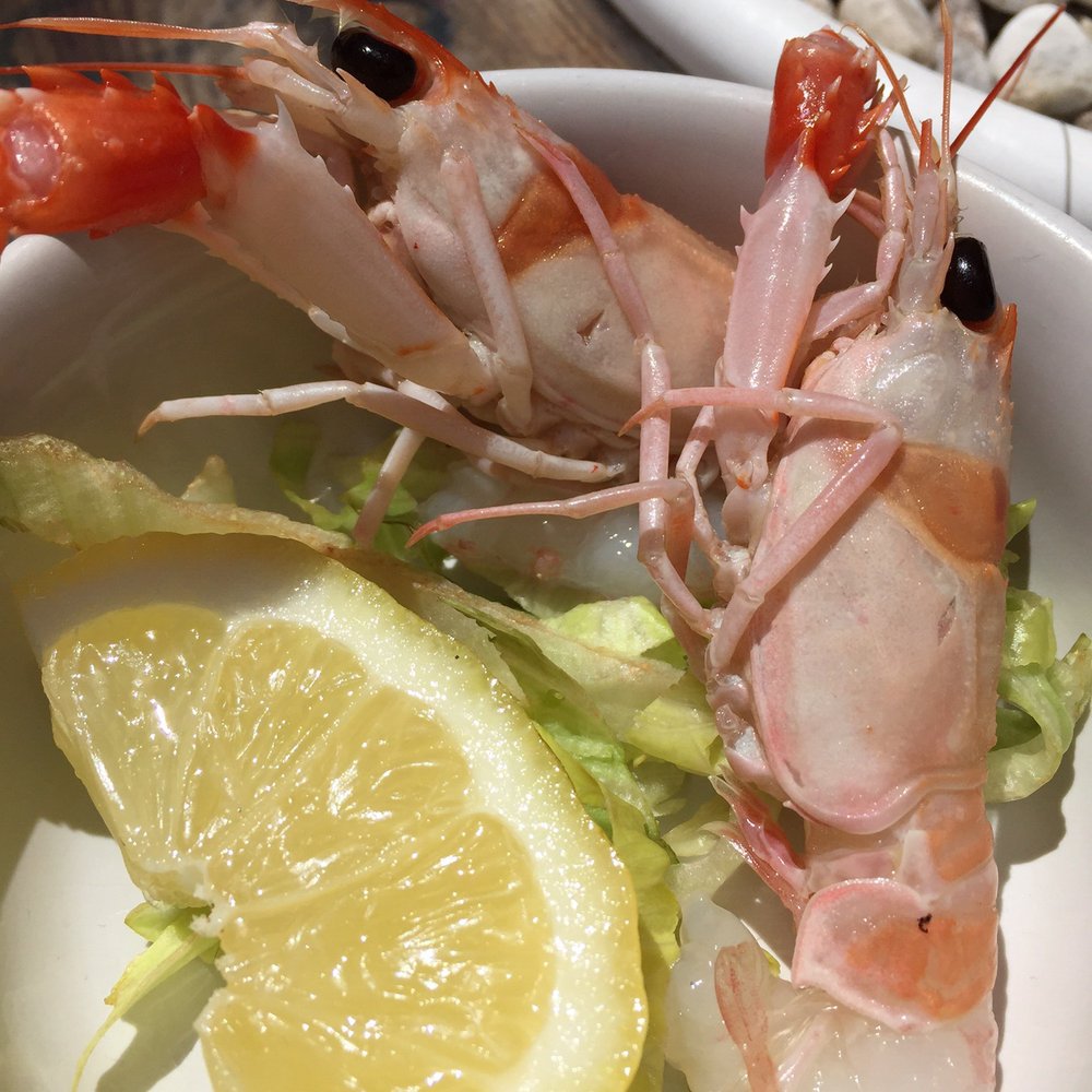 Pescaria - Scampi - so good raw!! - Seafood Near Me - Polignano a Mare, BA Pescaria - Scampi - so good raw!! - Seafood Near Me - Polignano a Mare, BA
