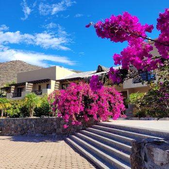 Hotel Tripui - Pool - Hotels Near Me - Loreto, BCS