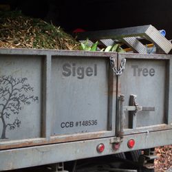 Mark Sigel Tree Service
