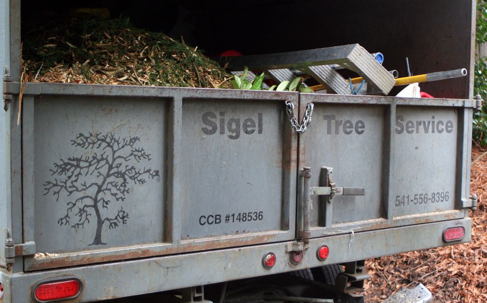 Mark Sigel Tree Service - tree service in Eugene, OR