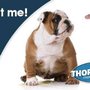 Photo of Thoro-Clene