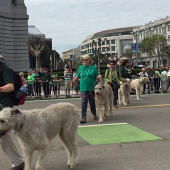 Saint Patrick's Day Parade - Festivals Near Me - San Francisco, California