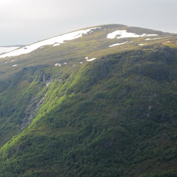 Sukkertoppen - Snow all year long in places. - Hiking Near Me - Ålesund, 15