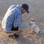 Photo of Play Your Way Obedience