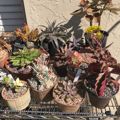 Rowe Clayworks by null