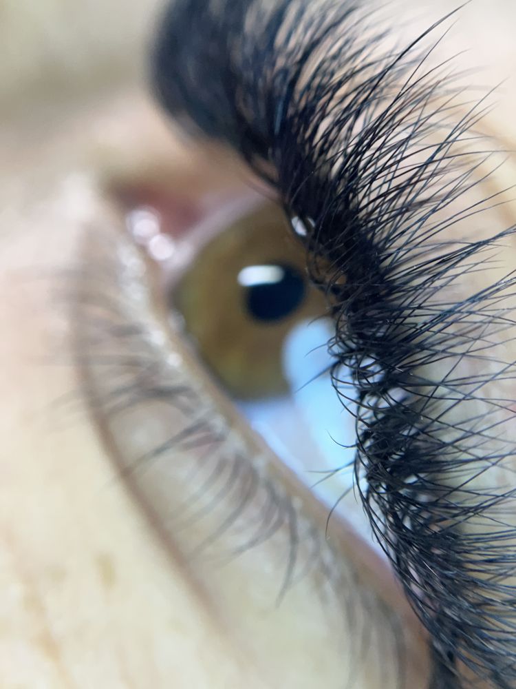 Fluttering Glamour Logo