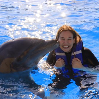 Cabo Adventures - Dolphin kiss. - Boat Tours Near Me - Cabo San Lucas, BCS Cabo Adventures - Dolphin kiss. - Boat Tours Near Me - Cabo San Lucas, BCS